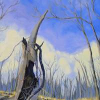 gnarled tree stump in barren field